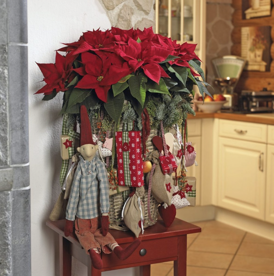 DIY tip: Πώς να διακοσμήσετε την είσοδο του σπιτιού σας για Χριστούγεννα